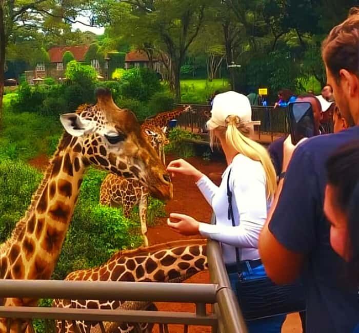 Nairobi: National Park, Elephant Orphanage, & Giraffe Center - The Sum Up