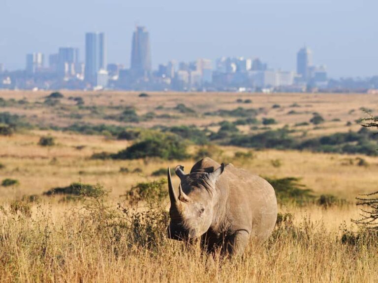 Nairobi: National Park Game Drive and Beads Center Tour - The Beads and Pottery Factory: A Cultural Touch
