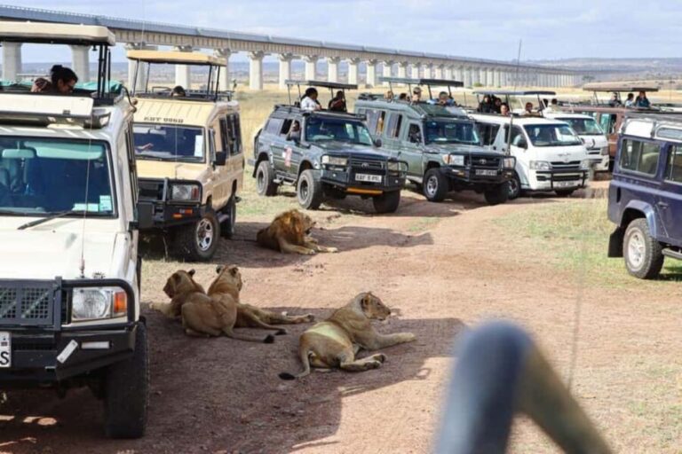 Nairobi; National Park Game Drive Tour with pickup - Final Thoughts