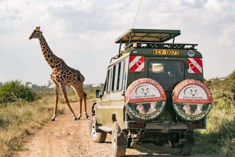 Nairobi National Park Half-Day Game Drive - The Practical Details: Pricing and Whats Included