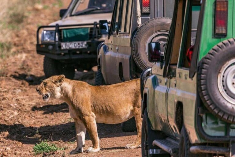 Nairobi: National Park Half-Day Game Drive with Guide - What to Expect at Each Step