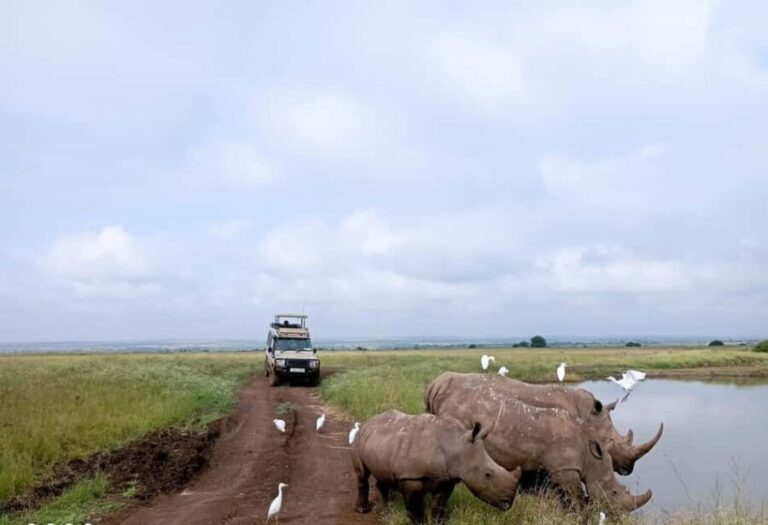 Nairobi National Park: Half-Day Group Tour with Pickup - The Guide Experience: Knowledge and Engagement