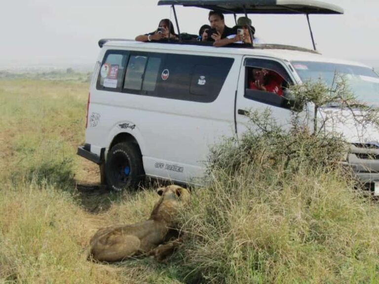 Nairobi National Park Half-Day Guided Game Drive With Pickup - Authentic Experiences from Travelers
