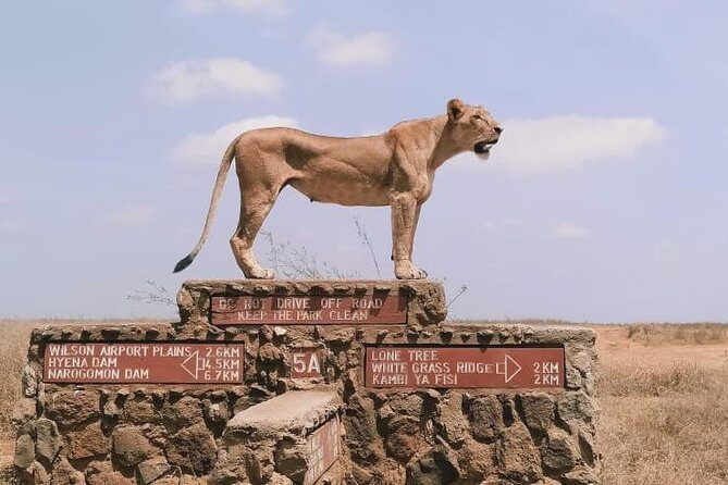 Nairobi National Park Half-Day Tour; Free Wi-Fi connection - Who Should Consider This Tour?