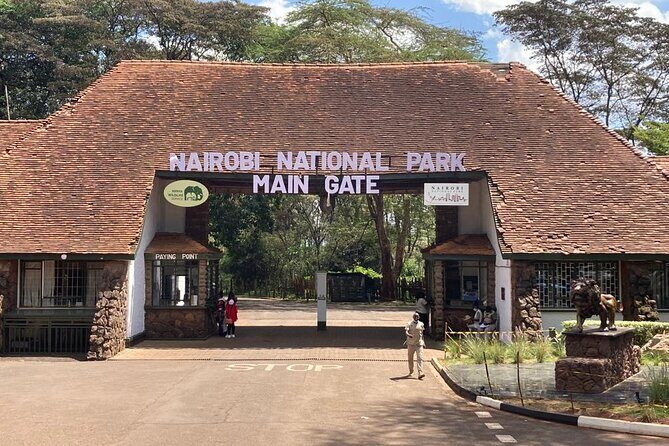 Nairobi National Park half-Day Tour; Free wifi Connection - The Role of the Guides and the Overall Experience