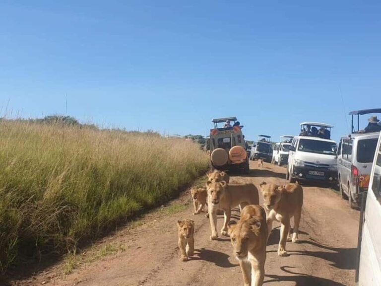 Nairobi National Park Half Day Tour &Kazuri Beads Factory - The Value of This Tour