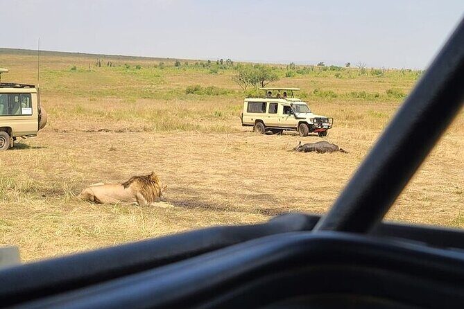 Nairobi National Park Private Half Day Tour with Pick up - Highlights from Reviews