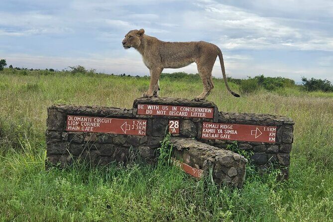 Nairobi National Park, Sheldrick Elephant, Giraffe Centre Tour - Whats the Real Value?