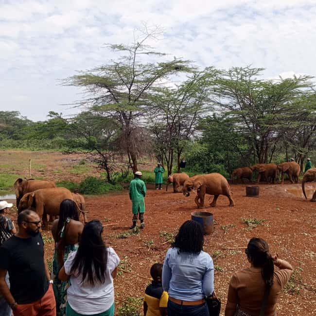 Nairobi National park - In-Depth Look at Each Stop