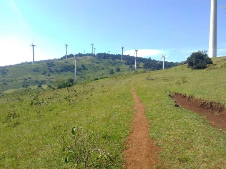 Nairobi: Ngong Hills Hiking and Zip Lining Tour - The Guides and Logistics