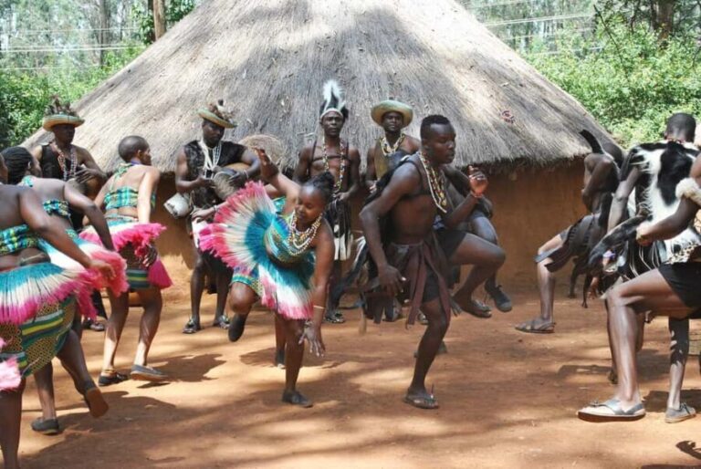Nairobi Park, Elephant, Giraffe, Bomas & Dinner Carnivore - The Experience: What Travelers Say