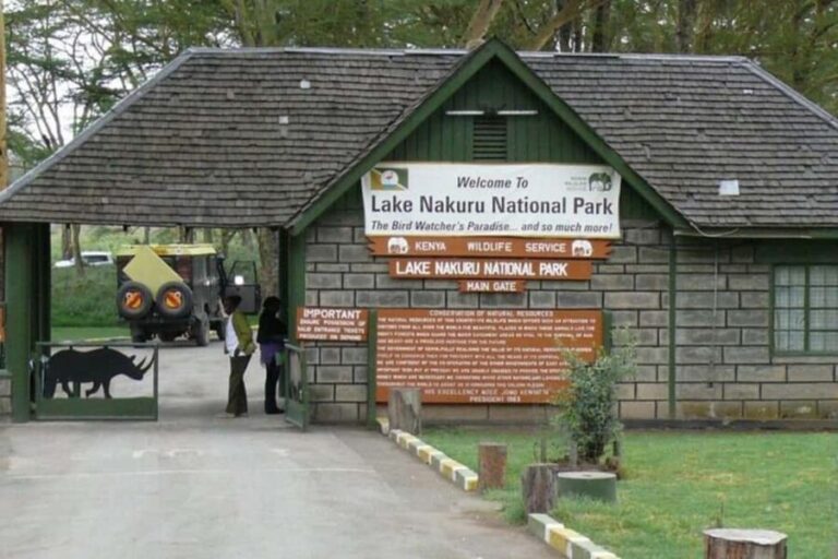 Nairobi: Private Lake Nakuru National Park Day Trip - Itinerary Breakdown