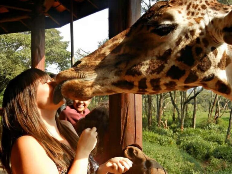 Nairobi: Safari Walk and Giraffe Center Day Tour - What to Bring and Consider
