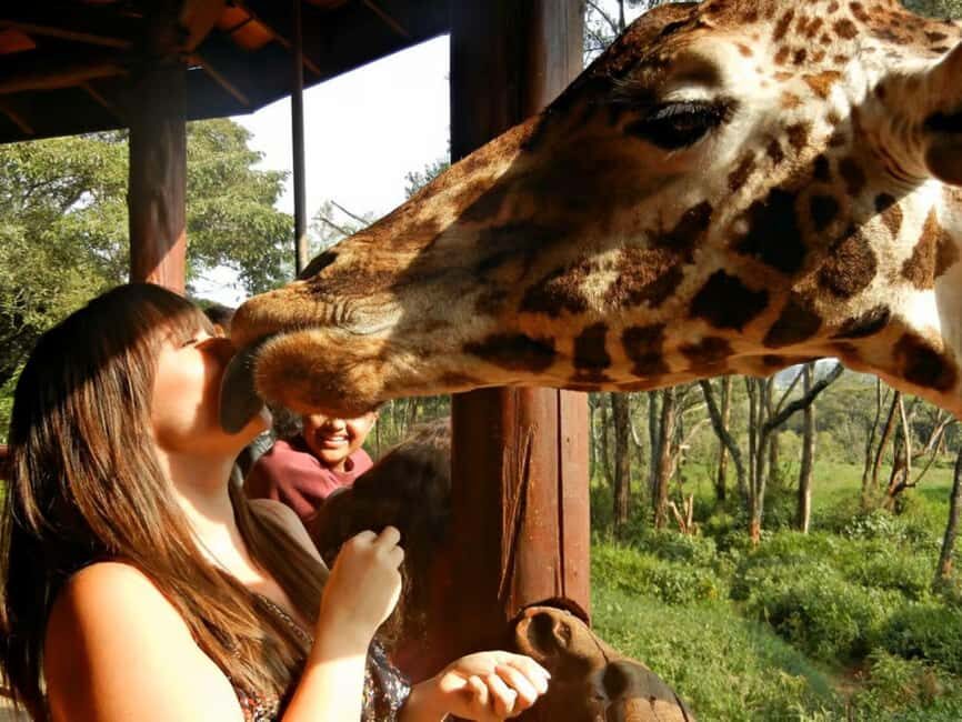 Nairobi: Safari Walk and Giraffe Center Day Tour - What to Bring and Consider
