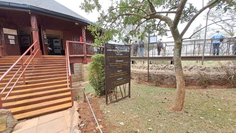 Nairobi:David Sheldrick Elephant Orphanage & Giraffe Center - Who Would Enjoy This Tour?
