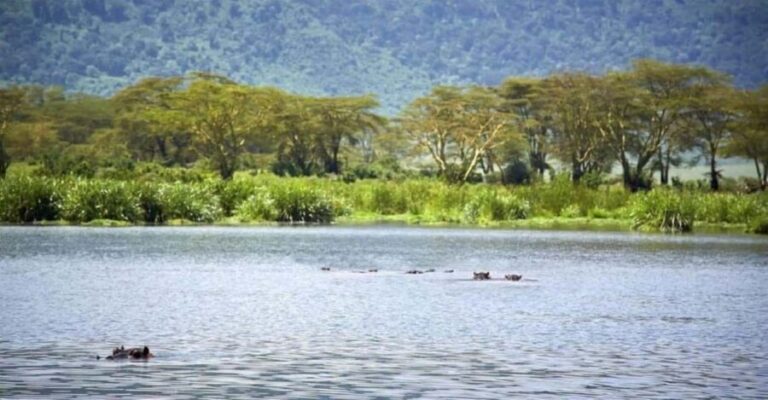 Nairobi:Group Hell's Gate National Park & Lake Naivasha Tour - Who Will Love This Tour?