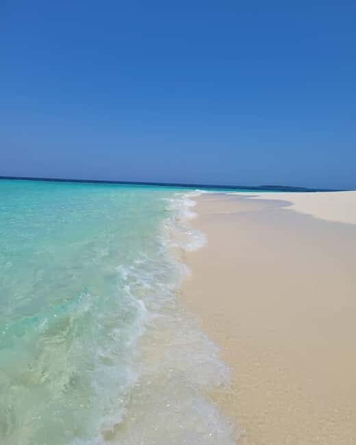 NAKUPENDA SANDBANK BEACH AND SNORKELING - Who Will Enjoy This Tour?