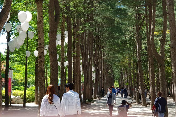 Nami Island and Petite France - Filming location - Authentic Experiences and Visitor Feedback