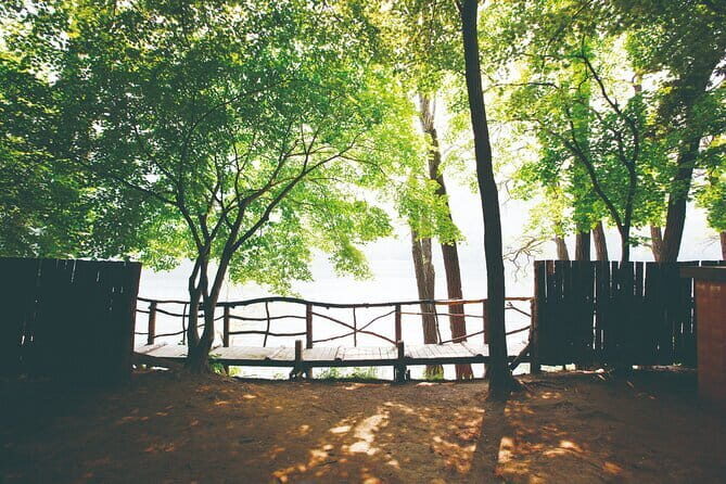 Nami Island, Garden of Morning Calm Tour with Rail Bike Option - What Travelers Are Saying