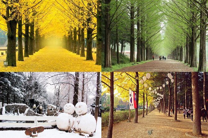 Nami Island & Petite France with Italian Village One-Day Tour - Who Should Consider This Tour?