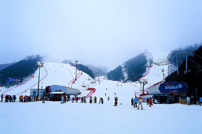 Nami Island + Ski Tour - Visiting Nami Island