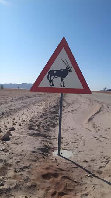 Namib Naukluft Park Trip - Practical Details and Tips
