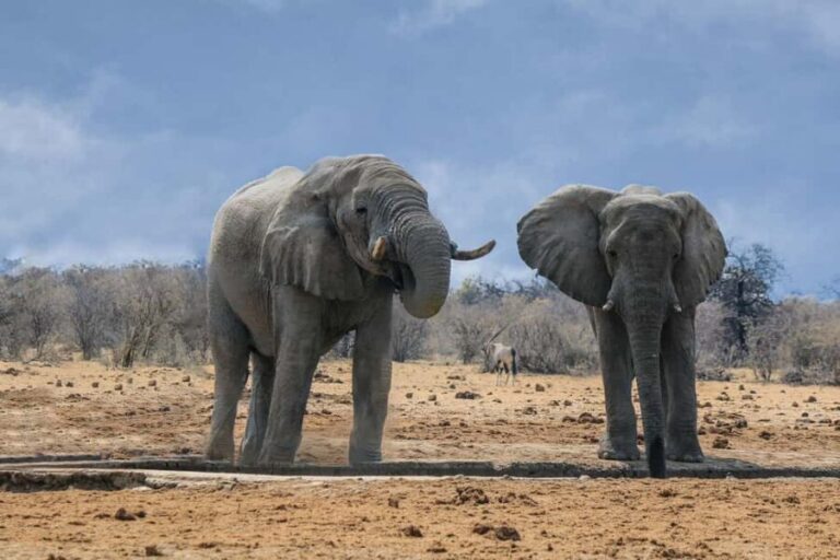 Namibia: 10-Days - What Travelers Love About This Tour