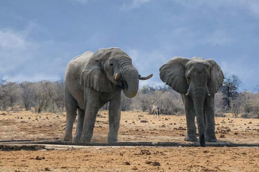 Namibia: 10-Days - What Travelers Love About This Tour