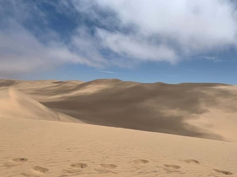 Namibia; Classic Sandwich Harbour Tour - What Makes This Tour Special?