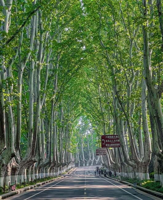 Nanjing: Green Boulevards, Bookstore Warmth & Scenic River - What’s Included and What’s Not