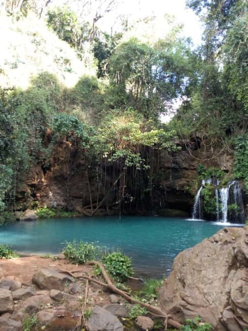 Nanyuki : Ngare Ndare Day Trip - The Itinerary Breakdown