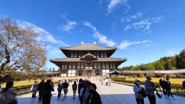 Nara: 3-Hour Guided Tour with Deer, Great Buddha & Shrines - Exploring Nara Park and the Deers