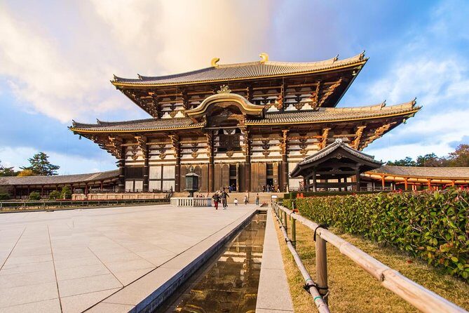 Nara Afternoon Tour (Round Trip from Kyoto) - The Practicalities: What You Need to Know
