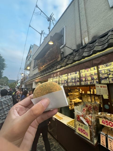 Nara attractive tour with local guide (4hours) - What to Expect During the Tour
