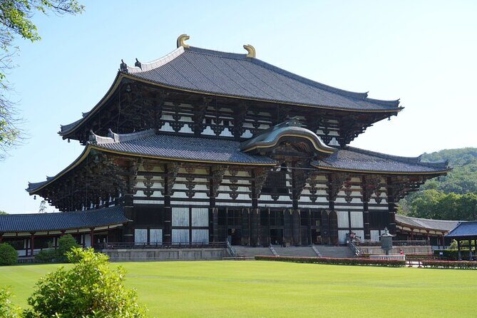 Nara Early Bird Tour (Kyoto Departure Option Available) - Who Should Consider This Tour?