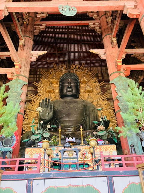 Nara: Essential Private Tour with Deer Park and Temples - Final Thoughts