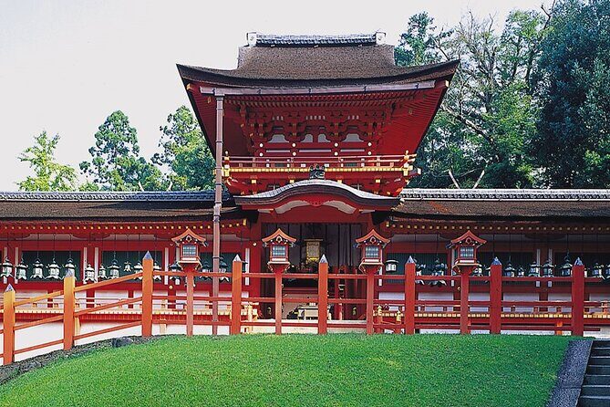 Nara Half-Day Bus Tour from Kyoto - Transportation, Timing, and Group Size