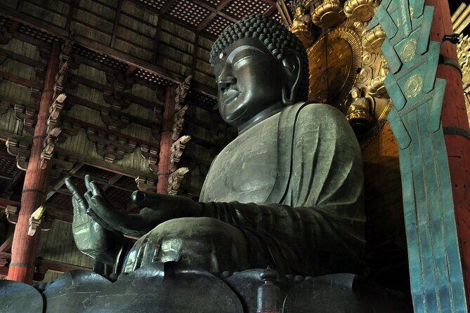 Nara Highlight Private Walking Tour with Licensed Guide - Exploring the Itinerary: What to Expect