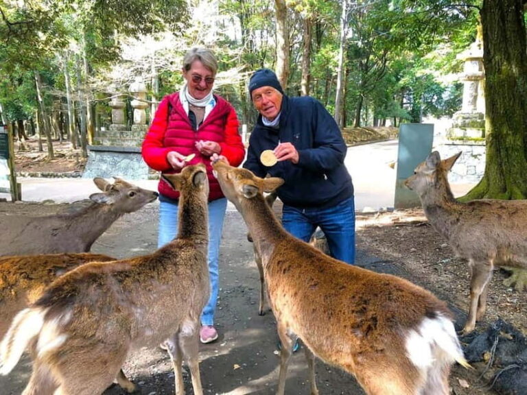 Nara: Kasuga Taisha, Sacred Deer Shrine Guided Tour - What to Expect on the Tour