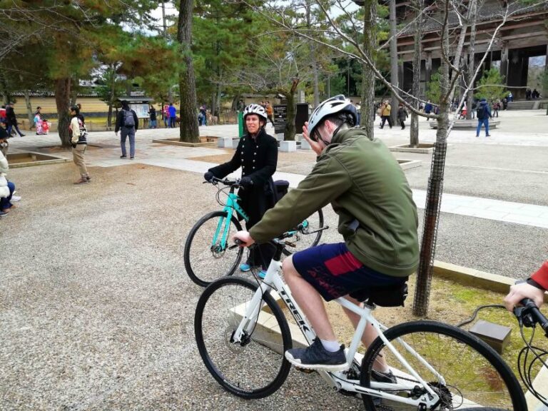 Nara: Nara Park Private Family Bike Tour with Lunch - A Deep Dive Into the Itinerary