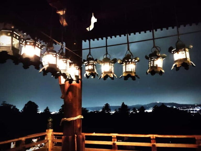 Nara: Night Walking Guided Tour - Beauty in a Peaceful Night - What Makes This Tour Special