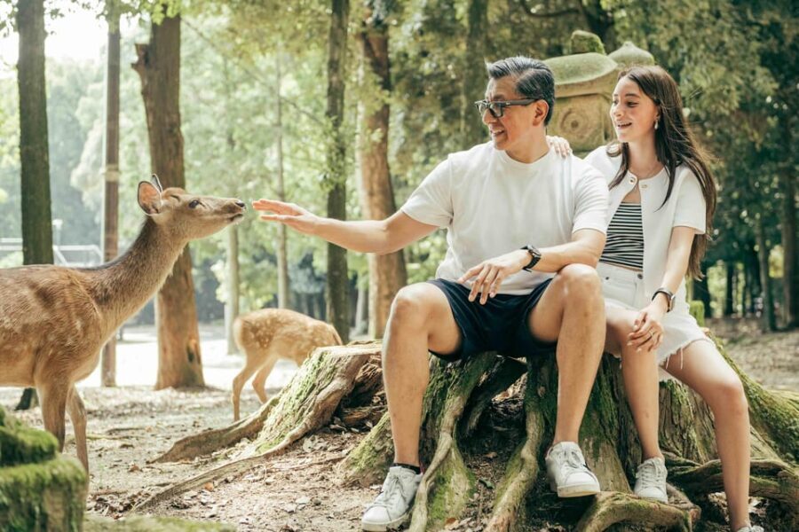 Nara Serenity: Memories Among Deer and Temples - Is It Worth the Price?