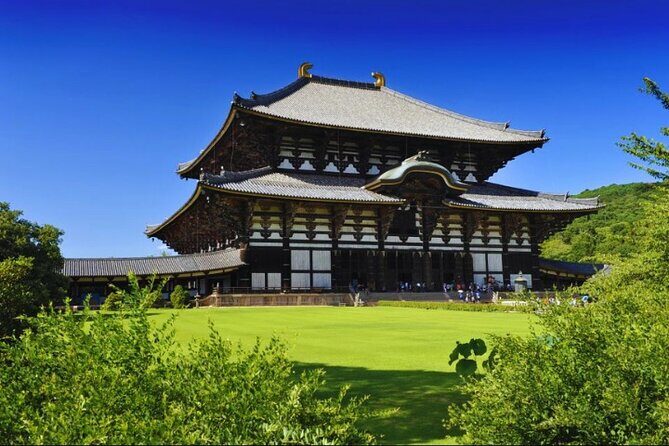Nara, Todaiji Temple & Kuroshio Market Day BUS Tour from Osaka - Exploring Wakayama Castle: History and Views