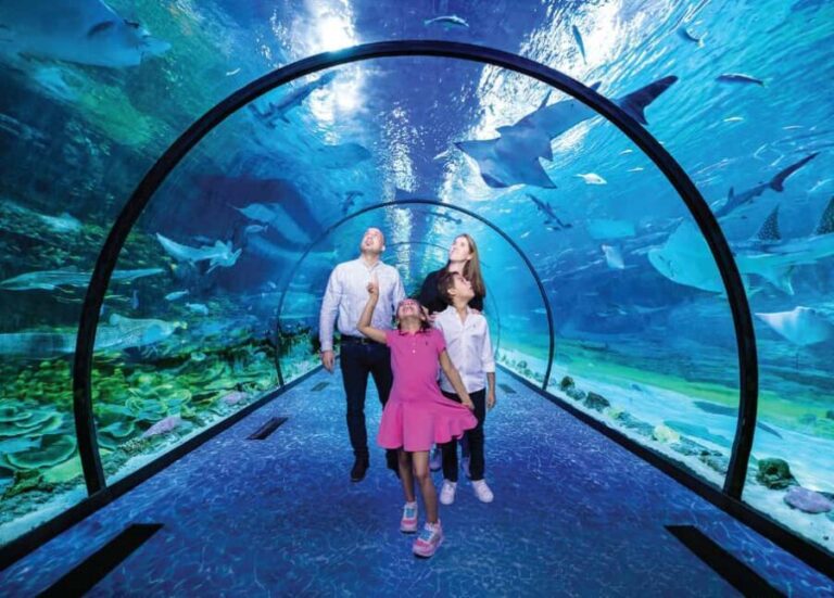 National Aquarium & Adrenark Adventure Combo Ticket - Whats Missing? The Value Perspective