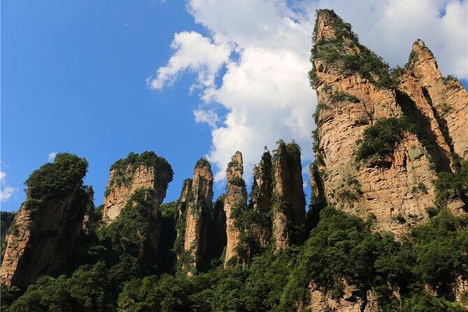 National Forest Park Avatar Mountain Day Tour - What’s Included and What’s Not