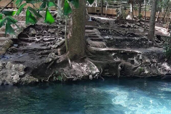 Natural Park Khao Yai with Mr Nong - The Experience: An In-Depth Look at the Tour