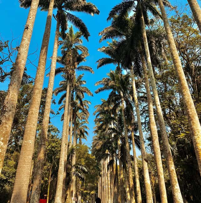 Nature Thrills - What to Expect from the Tour