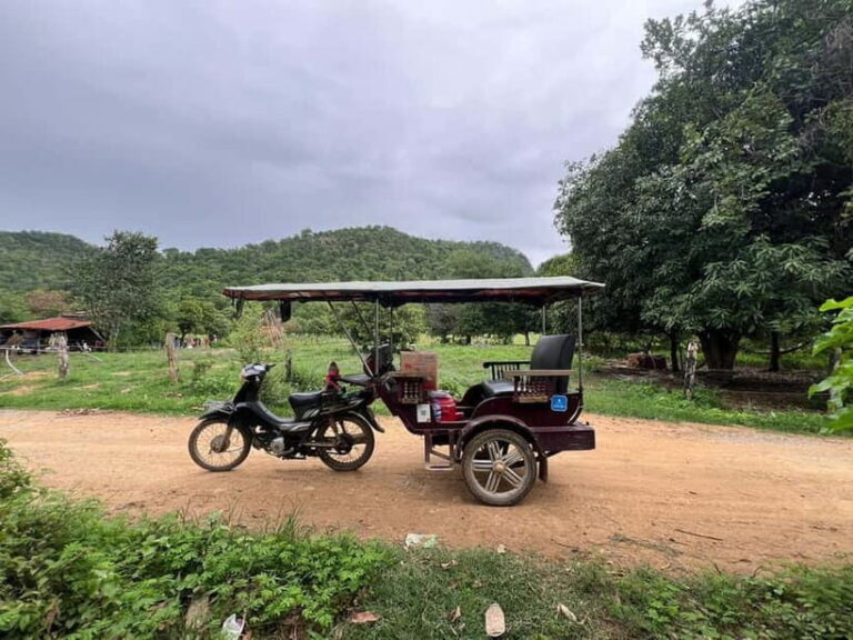 Nature tour through Battambang/Local area and landmarks - What Travelers Say