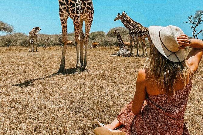 Nature Walk with Giraffes in Mombasa - The Authenticity and Value of the Experience