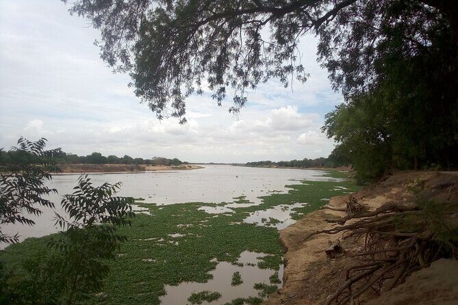 N'DJAMENA The Elephant-Dandi rock and Doughia tourist resort - The Elephant Rock and Dandi Village